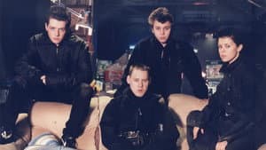 Straydogs — foto 1