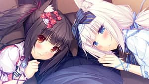 ネコぱらOVA — foto 3