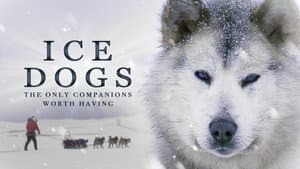 Ice Dogs: The Only Companions Worth Having — foto 3