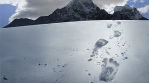 Hunt for the Abominable Snowman — foto 3