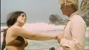 Erika's Hot Summer — foto 2
