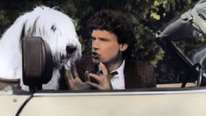 El regreso del perro humano — foto 2