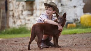 Las aventuras del Perro Rojo — foto 4