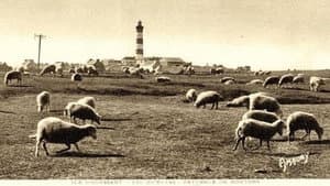 Il y avait du pétrole à Ouessant — foto 2