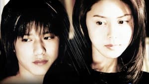 魔女の条件 — foto 6