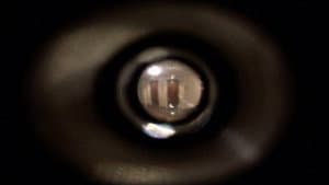 Your Life as a Spy — foto 2
