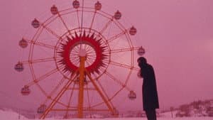 アンモナイトのささやきを聞いた — foto 5