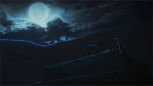 Episodio 13
