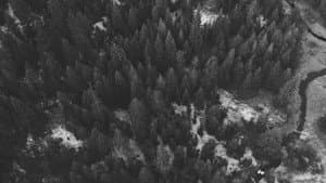 The Hike — foto 2