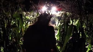 Fawn — foto 1