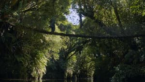 The Mountain — foto 8
