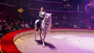 Délire au Cirque d'Hiver Bouglione de Paris — foto 12
