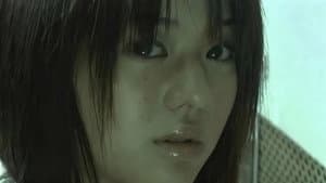 ともしび — foto 1
