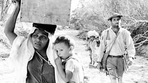 Vidas Secas — foto 2
