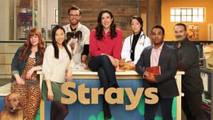 Strays — foto 3