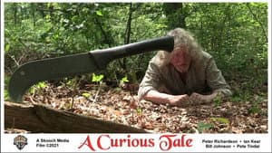 A Curious Tale — foto 1
