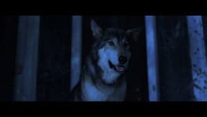 Lycan — foto 3