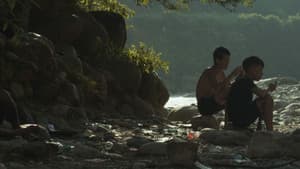 核桃熟了的时候 — foto 1