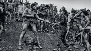 La sal de la Tierra — foto 3