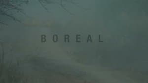 Boreal — foto 3
