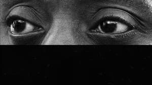 I Am Not Your Negro — foto 5