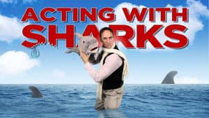 Acting with Sharks — foto 1