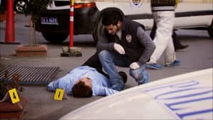 Episodio 17