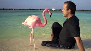 The Mystery of the Pink Flamingo — foto 1