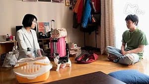 Episodio 5