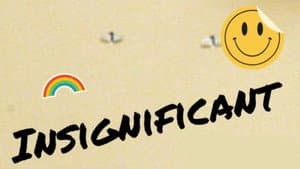Insignificant — foto 3