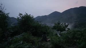 辞柯 — foto 1