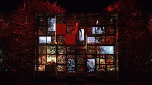 Wagner: Siegfried — foto 5