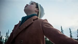 Vinterskygger — foto 1
