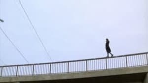 Beck 03 - Vita nätter — foto 3