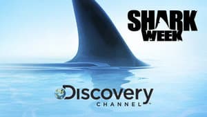 Shark Week 30 Años — foto 11