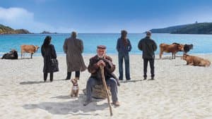 La vita va così — foto 3