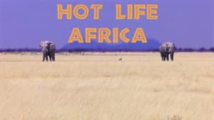 Hot Life: Africa — foto 5