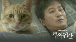 루왁인간 — foto 1