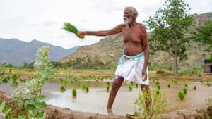 கடைசி விவசாயி — foto 3