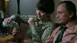 Niedziela pewnego małżeństwa w mieście przemysłowym średniej wielkości — foto 1