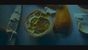 Orange Flavored Love — foto 6