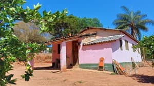 O Mistério de Varginha — foto 2
