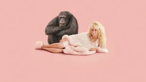 Chimp Crazy — foto 5