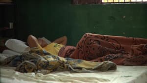 Amor y frijoles — foto 1