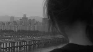 소통과 거짓말 — foto 5