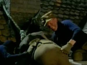 Episodio 8