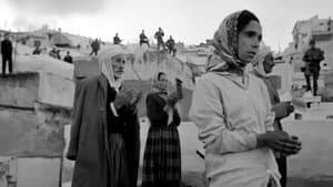 Marxist Poetry: The Making of The Battle of Algiers — foto 5