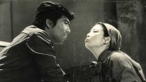 미움이 변하여 — foto 1