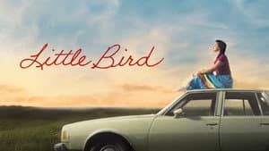 Little Bird — foto 5