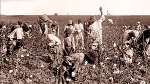 Slavery and the Making of America — foto 3